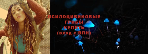 прущий лед Касимов