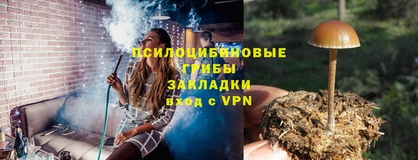 прущий лед Касимов